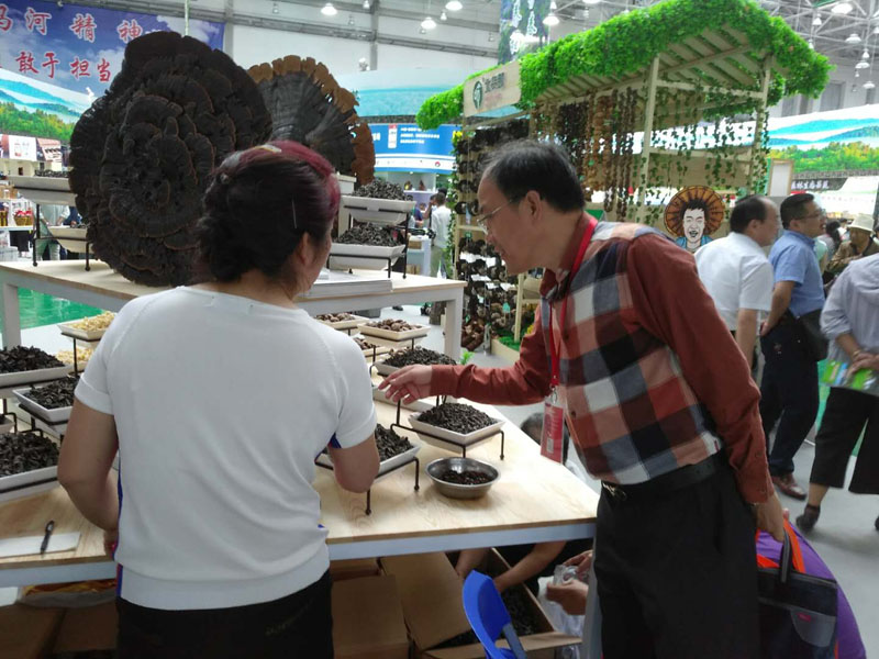 森林生态食品展区，客商正在与木耳销售人员洽谈3