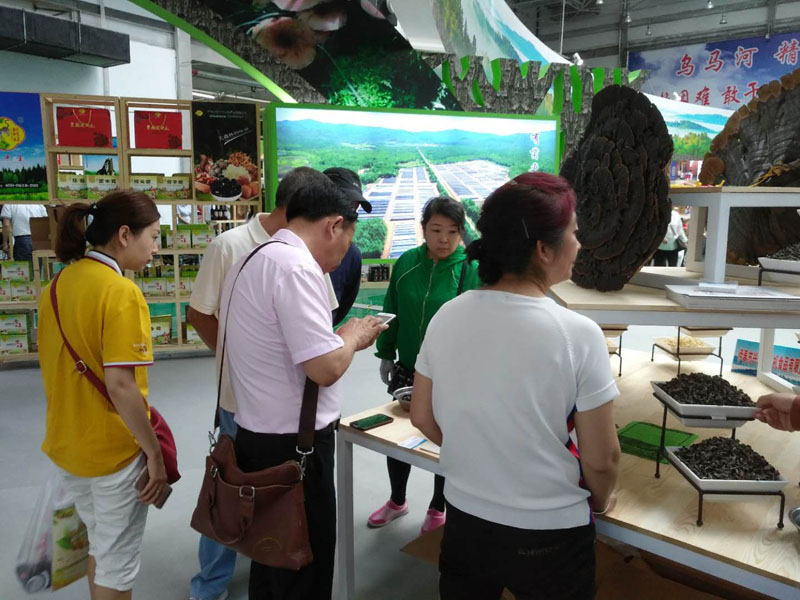 森林生态食品展区，客商正在与木耳销售人员洽谈2